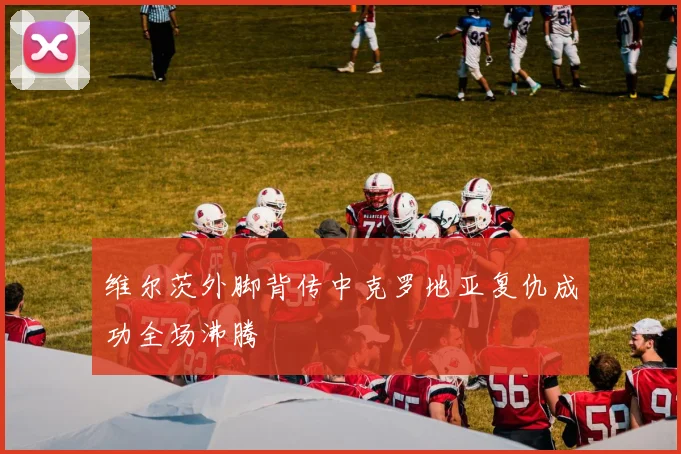 维尔茨外脚背传中克罗地亚复仇成功全场沸腾
