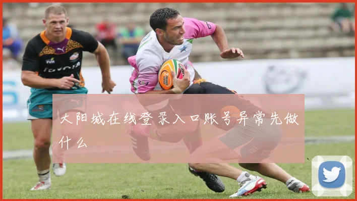 大阳城在线登录入口账号异常先做什么