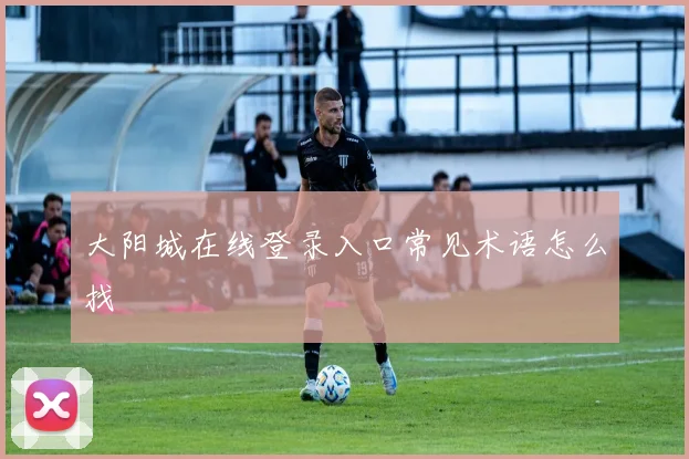 大阳城在线登录入口常见术语怎么找