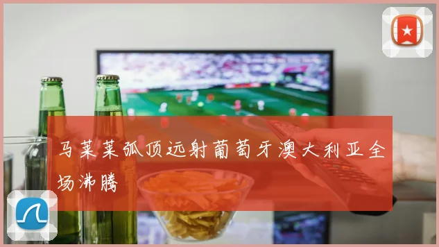 马莱莱弧顶远射葡萄牙澳大利亚全场沸腾