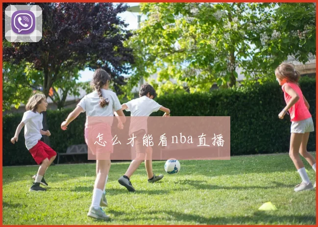 怎么才能看nba直播