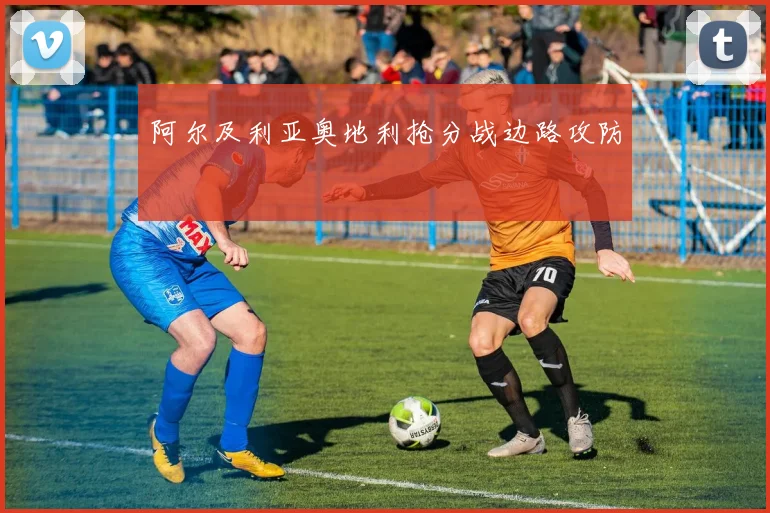 阿尔及利亚奥地利抢分战边路攻防