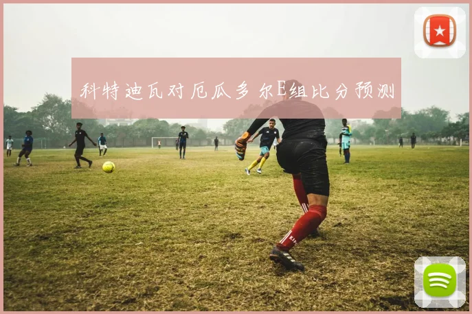 科特迪瓦对厄瓜多尔E组比分预测