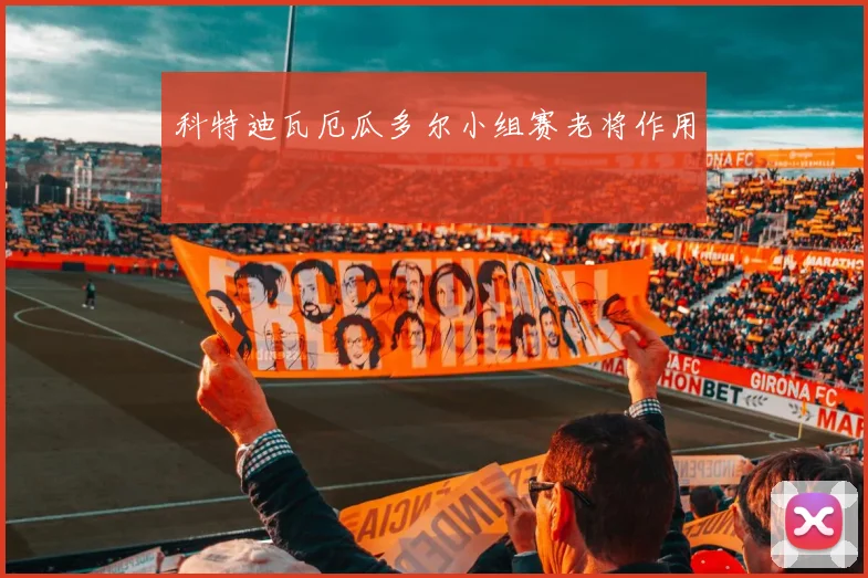 科特迪瓦厄瓜多尔小组赛老将作用
