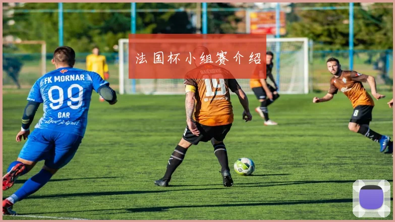 法国杯小组赛介绍