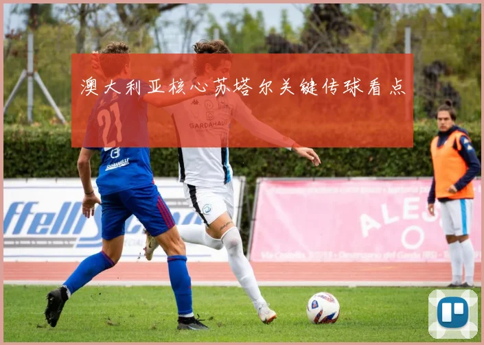 澳大利亚核心苏塔尔关键传球看点